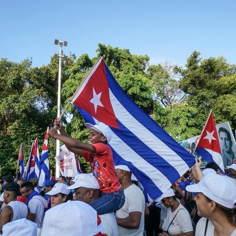 202606-Cuba Forest